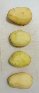 Potatoes for puree